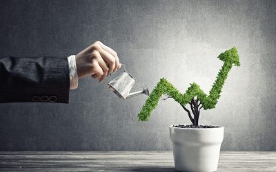 Hand of woman watering small plant in pot shaped like growing graph