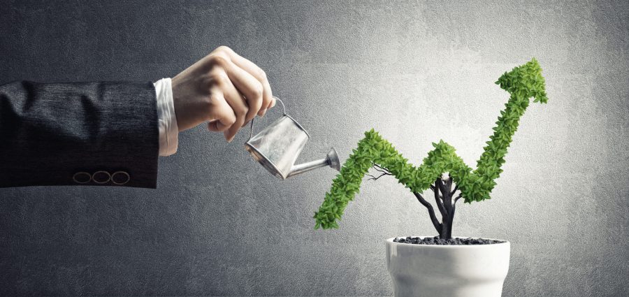 Hand of woman watering small plant in pot shaped like growing graph