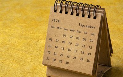 September 2020 - spiral desktop calendar on yellow handmade bark paper