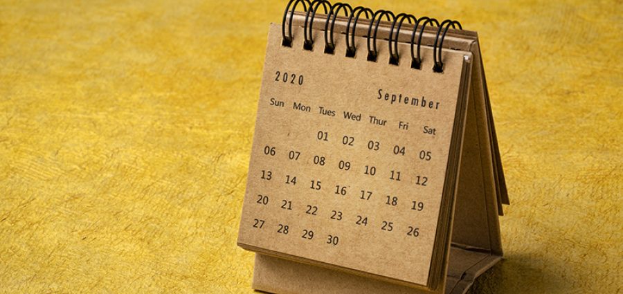 September 2020 - spiral desktop calendar on yellow handmade bark paper