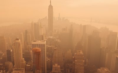 New York City Covered in Smoke from Bushfire