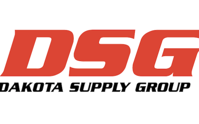 DSG logo