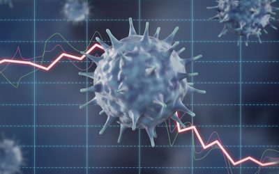 Indian River Consulting Group Pandemic Revenue Index