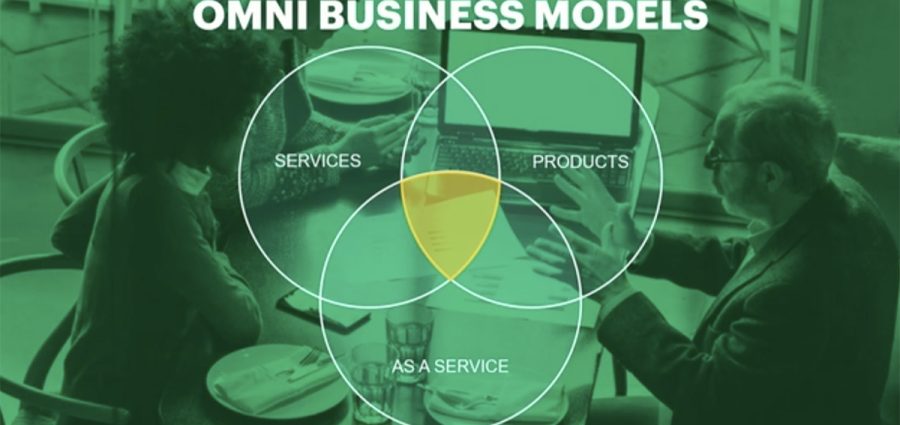 NetSuite-Omni-Model-copy