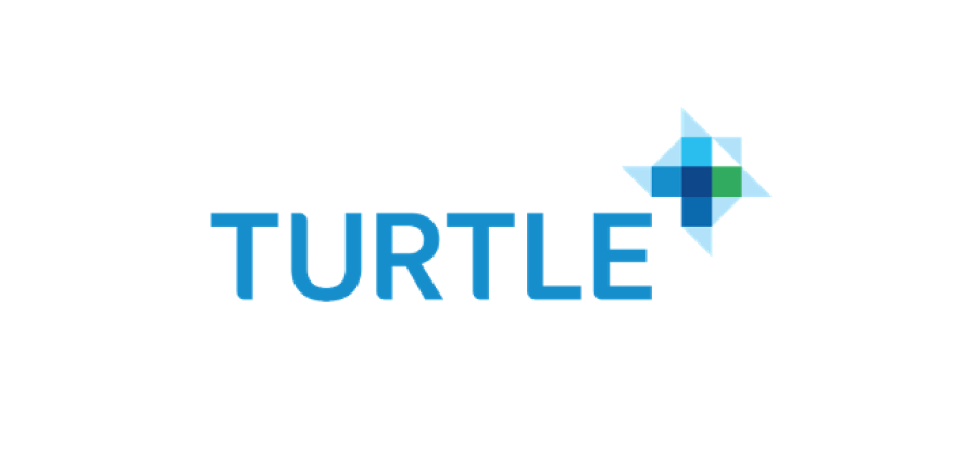 Turtle Logo