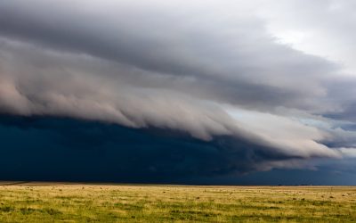 Storm clouds over a field