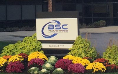 bsc logo