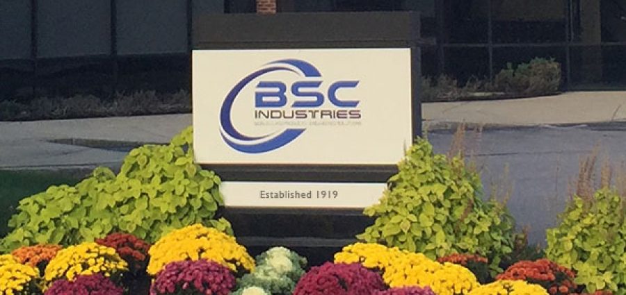 bsc logo