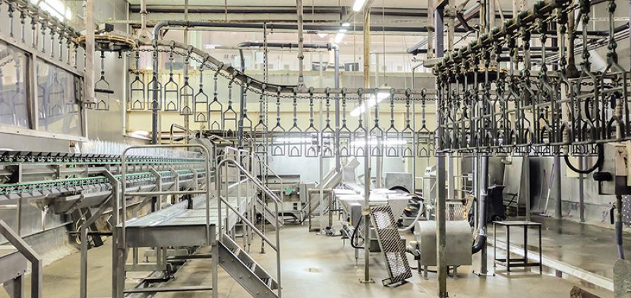 Empty butchering workshop poultry with overhead conveyor. Poultry processing plant line. Production of chicken meat, meat processing equipment.