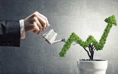 Hand of woman watering small plant in pot shaped like growing graph